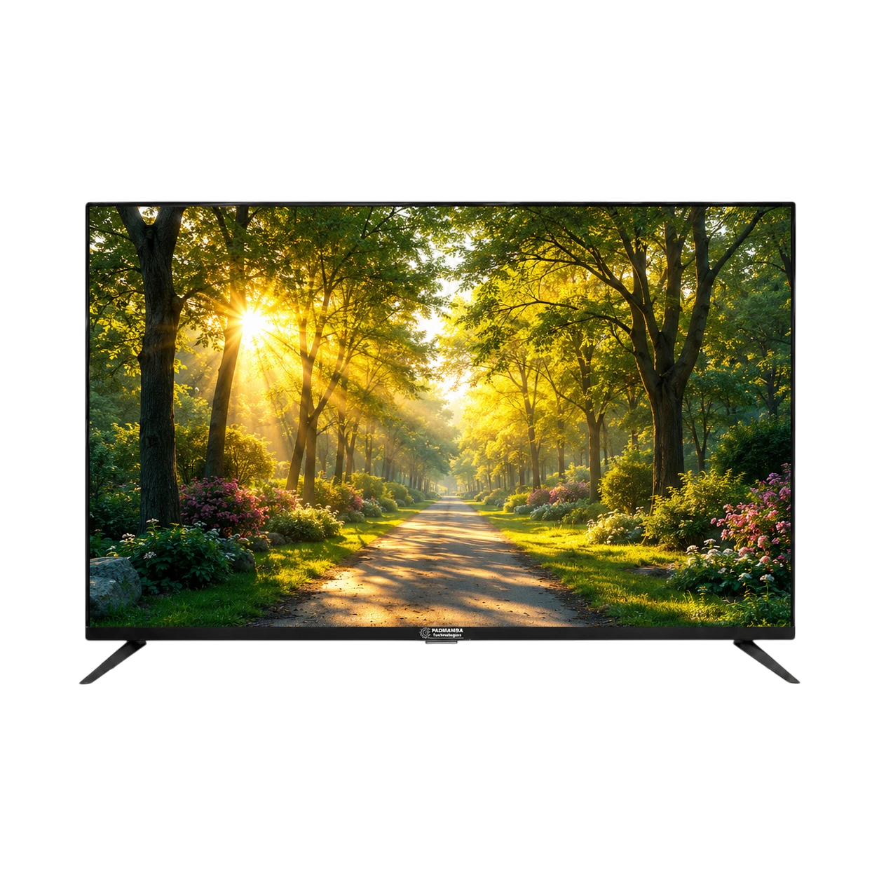 Padmamba Technologies LE40PTS4FLF 40" Full HD Smart LED TV 6